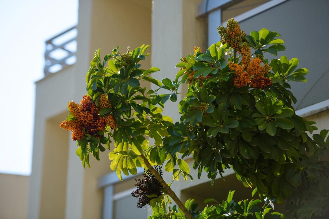 Amalia Corfu Hotel - Adults Only Като-Коракиана Экстерьер фото